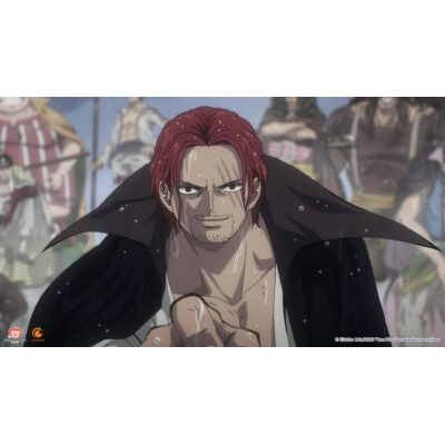 11-OnePiece©EiichiroOda_One Piece_production-committee.jpg